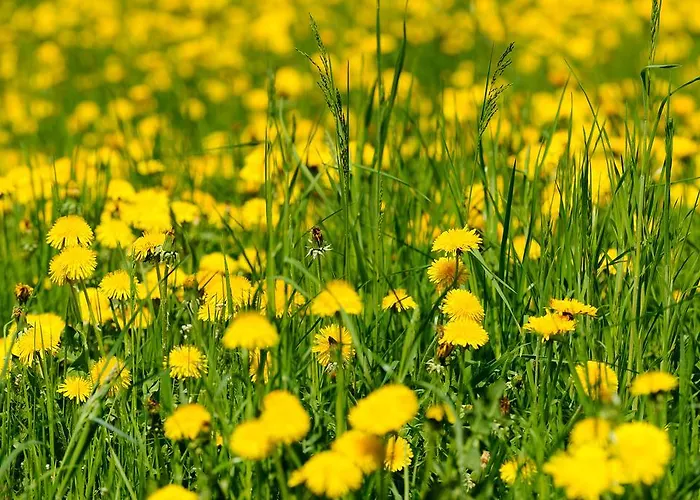 Kasperhof 1 - 5 Apartment