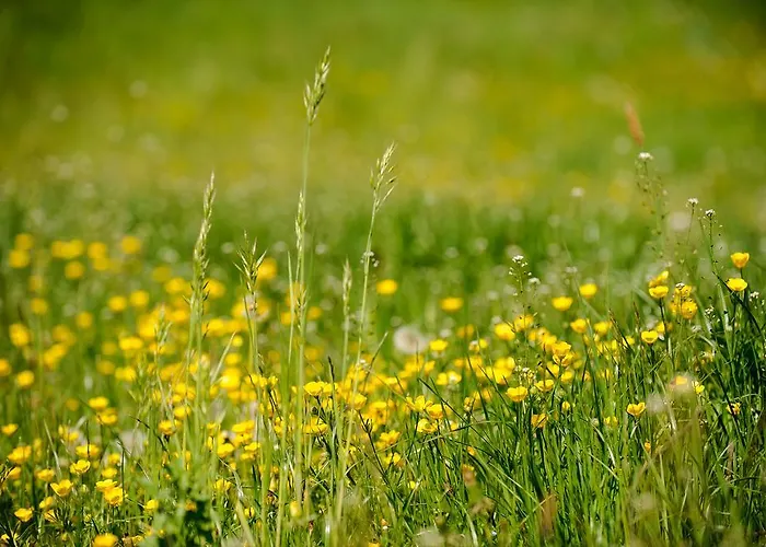 Kasperhof 1 - 5 Appartement Innsbruck
