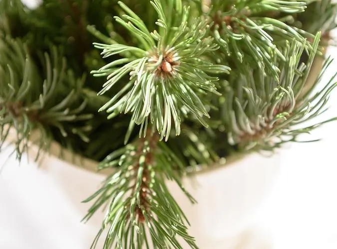 Appartement Kasperhof 1 - 5 *